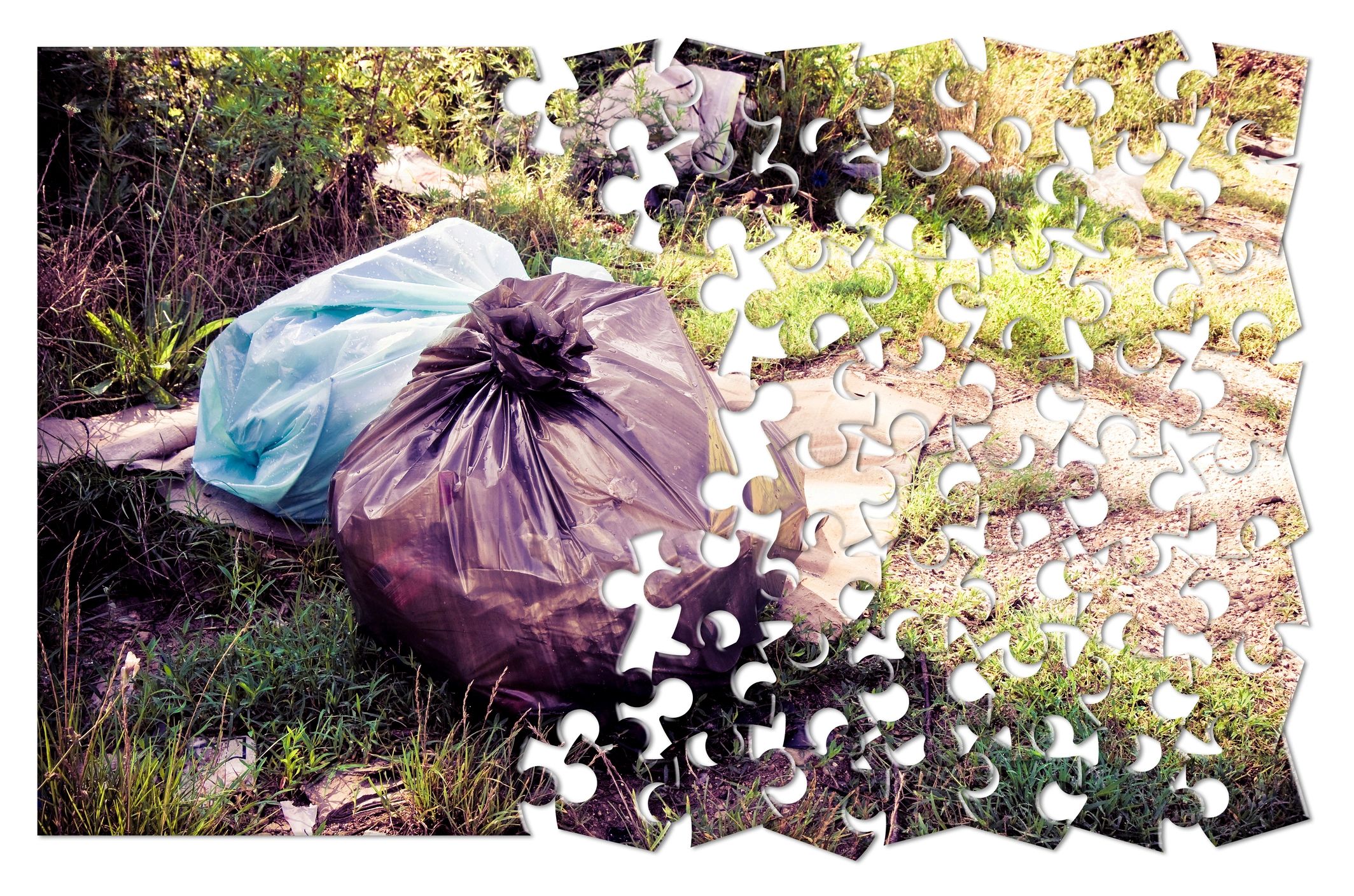 Plastic bags environmental waste